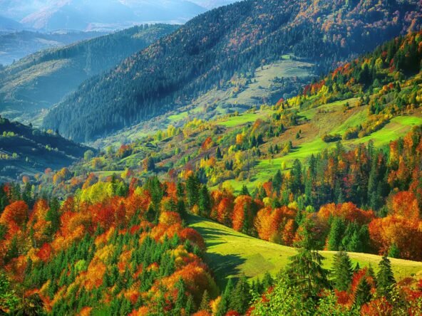 Eco-Tourism in Uttarakhand