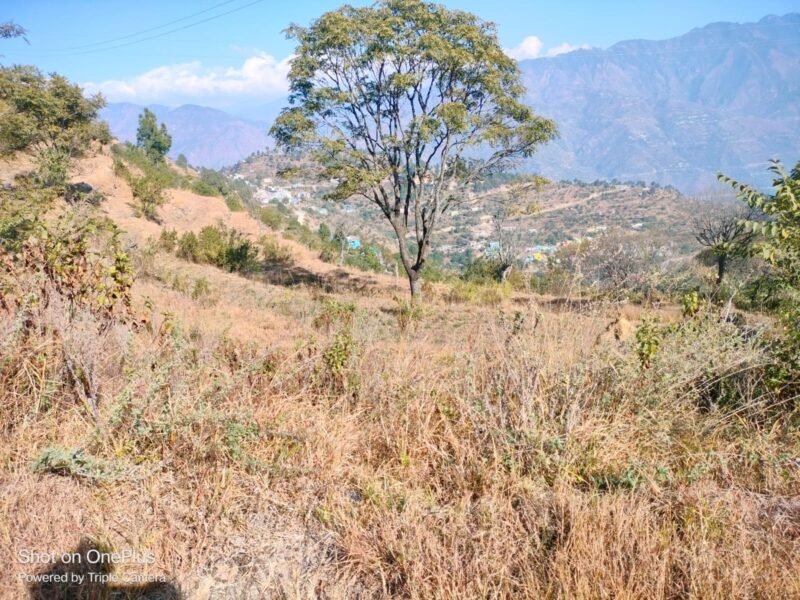 Highway Property In Uttarakhand