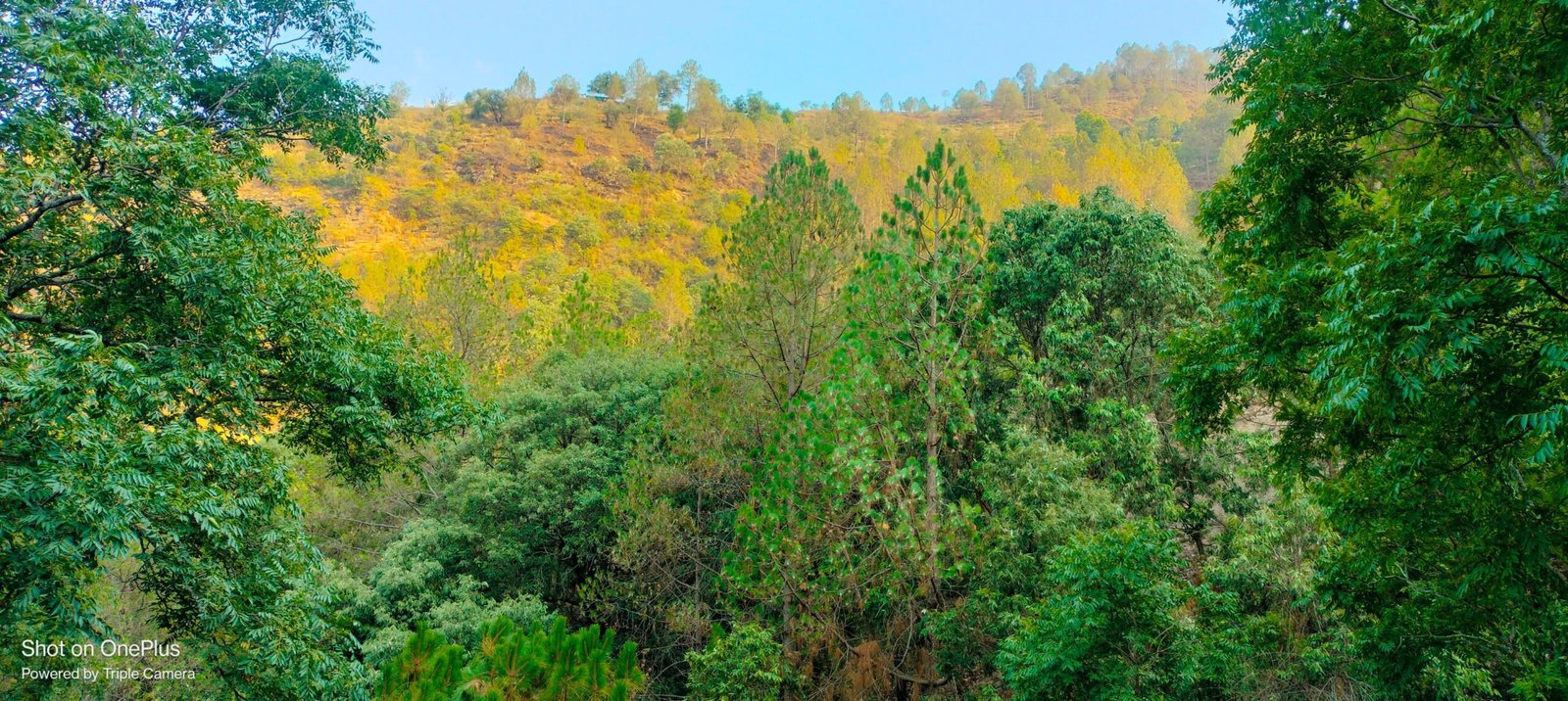 Fruit Valley Land For Sale In Uttarakhand