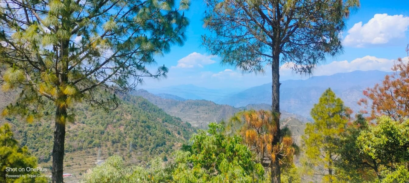 Tehri, Uttarakhand