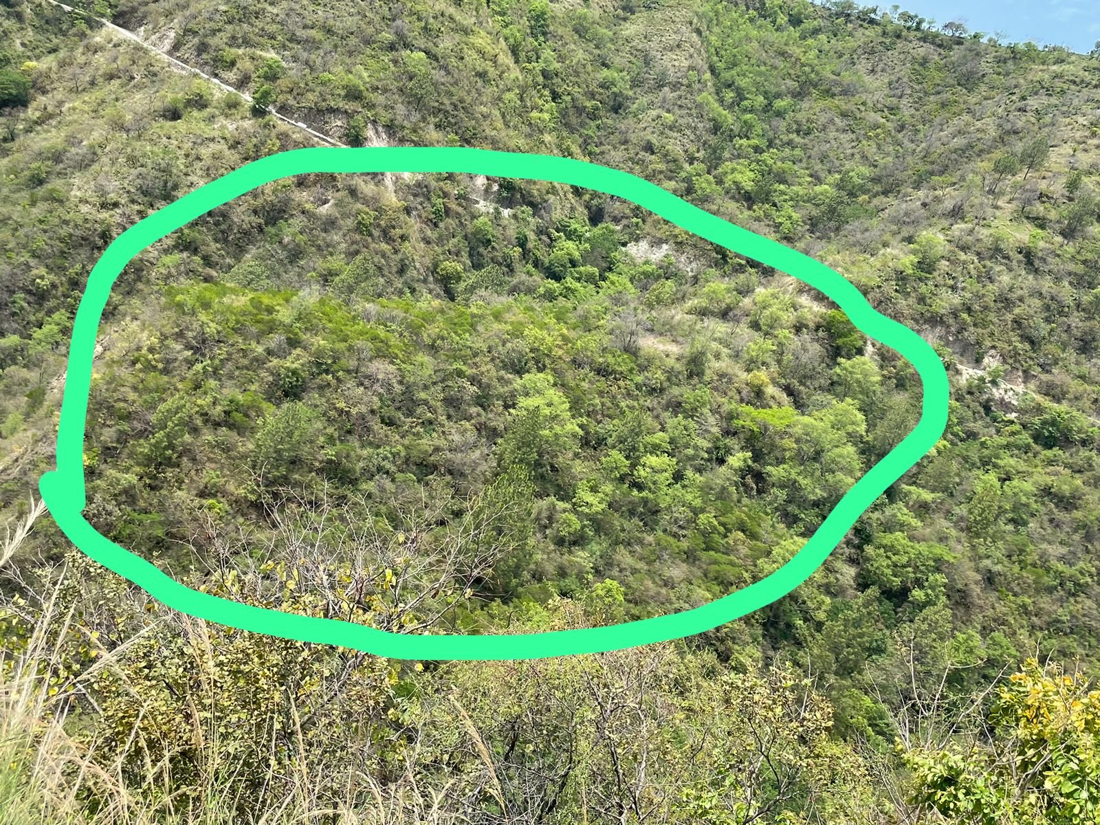 25 Nali Land For Sale