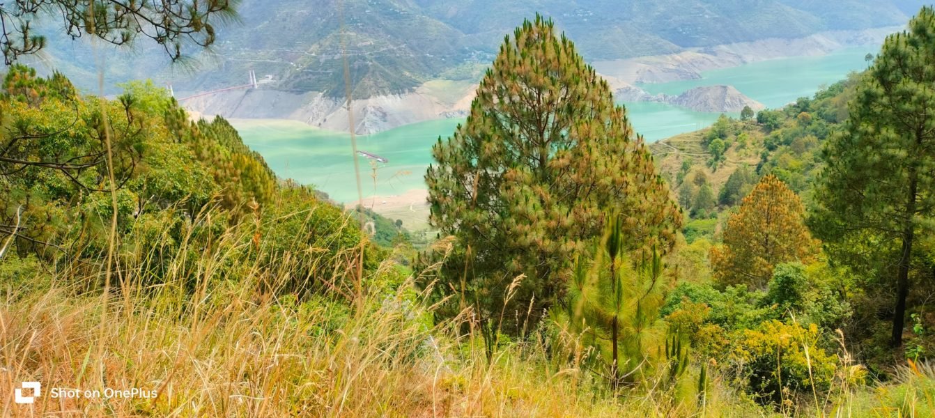 Buy 6.5 Nali land near Tehri Lake