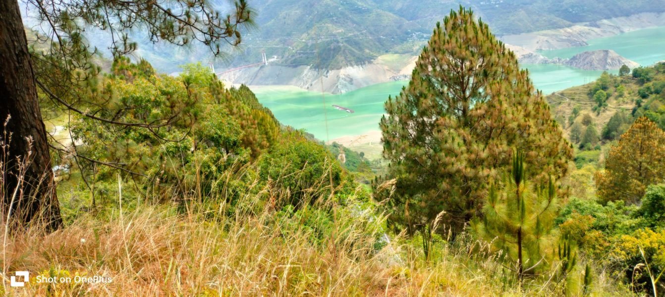 Lake View Resort property for sale