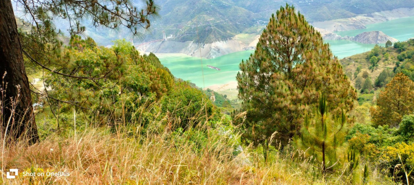 Lake View Resort property for sale