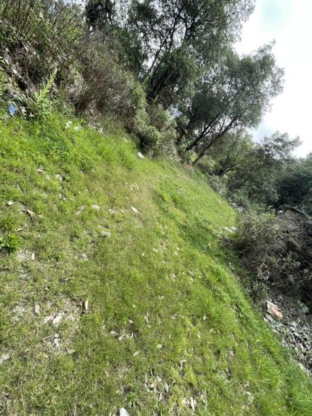 15 nali land for sale tehri chamba