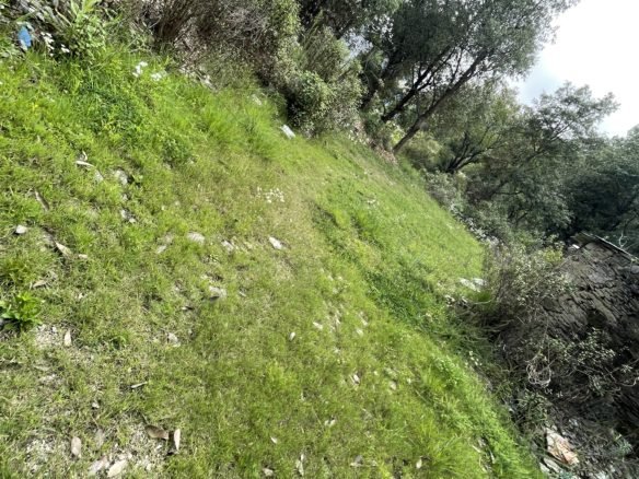 15 nali land for sale tehri chamba