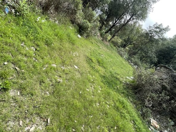 15 nali land for sale tehri chamba