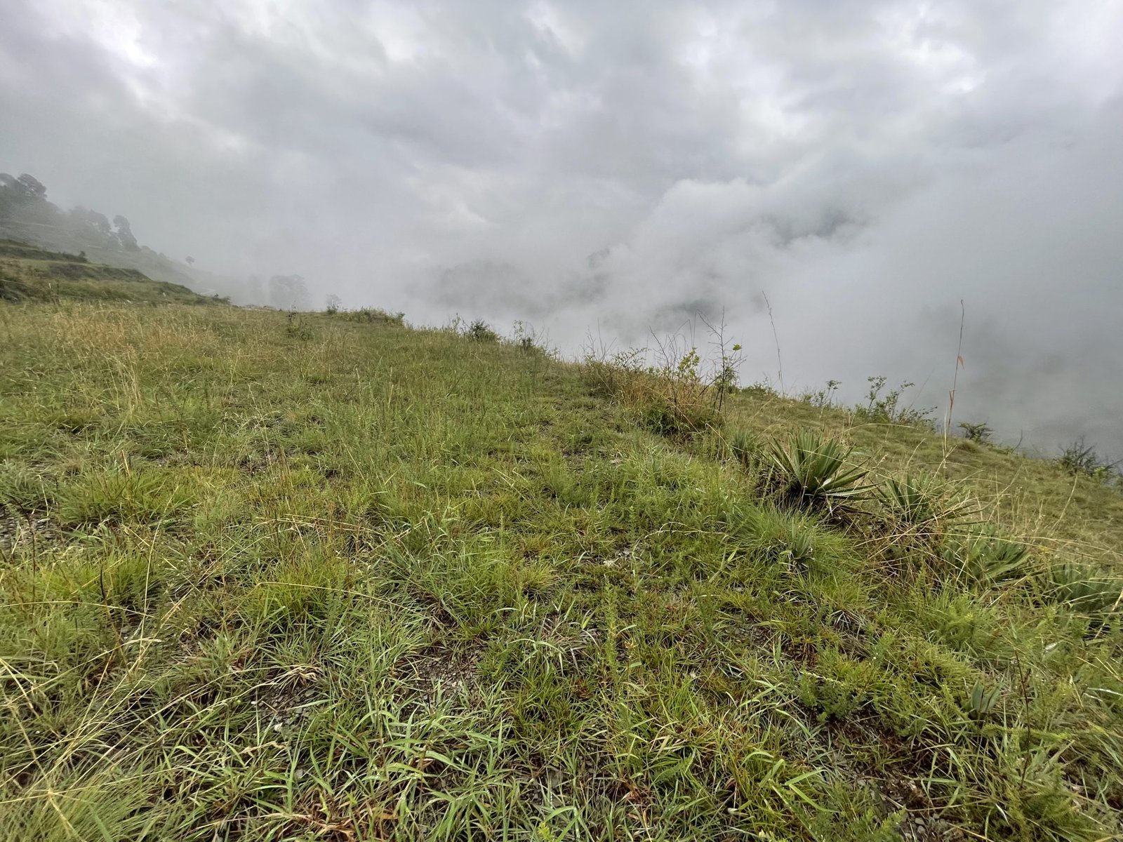 Investment property in Tehri Garhwal