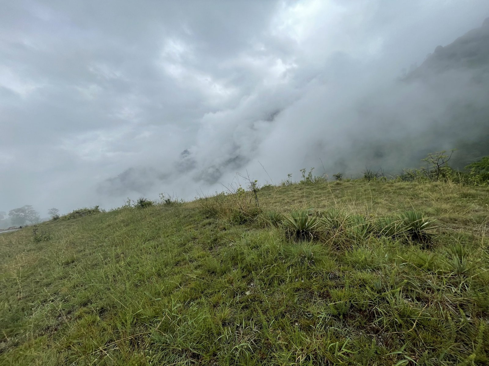 Beautiful Property for sale tehri