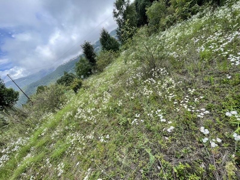 hotel resort land for sale tehri chamba