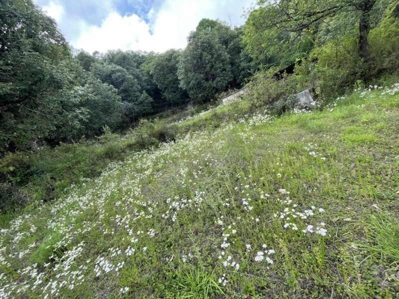 property for sale chamba