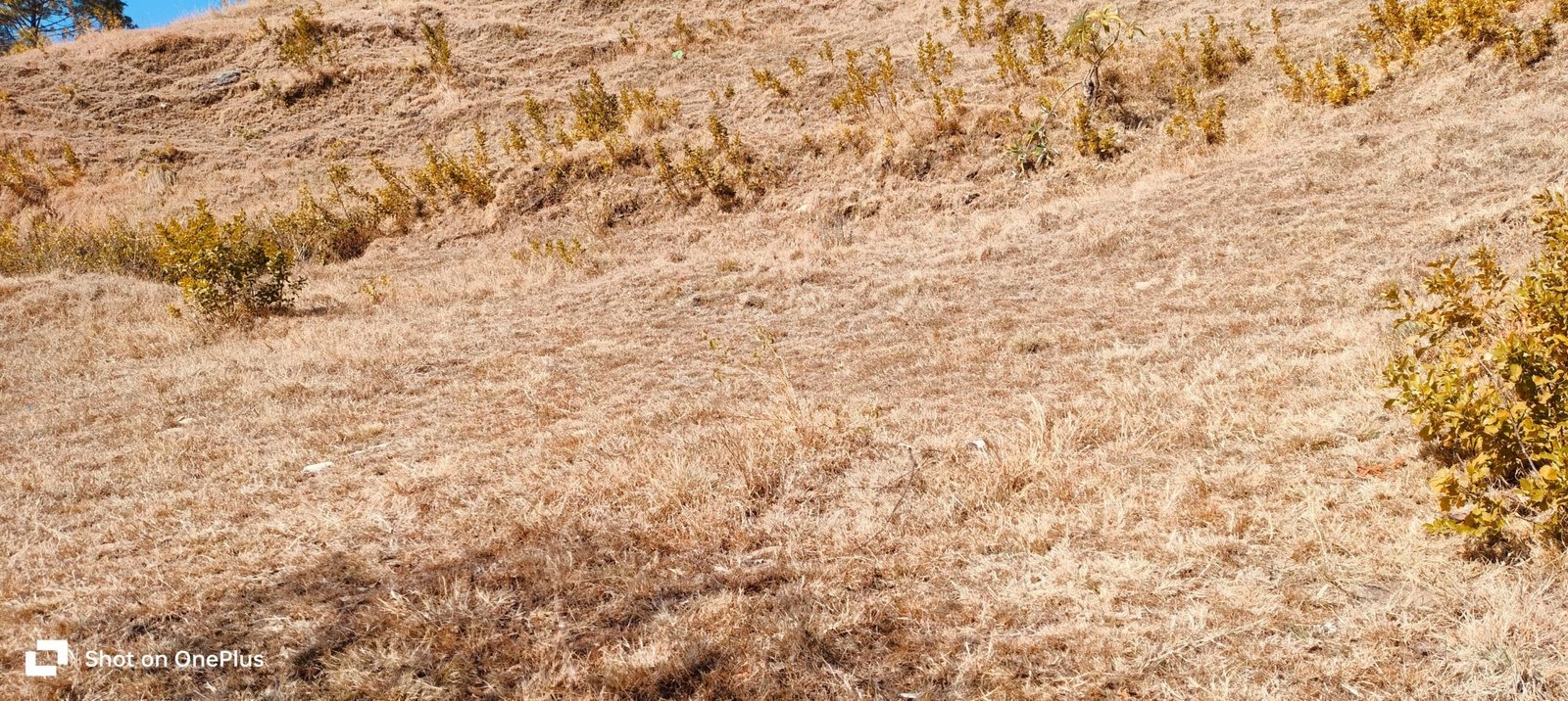 Plot for sale in Tehri