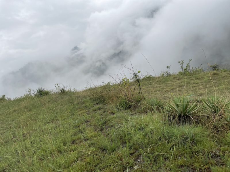 2 to 16 Nali clear-title land for sale i