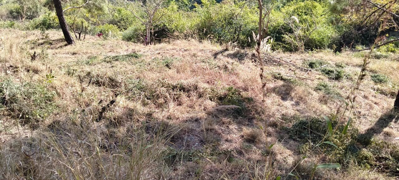 20 nali land for sale