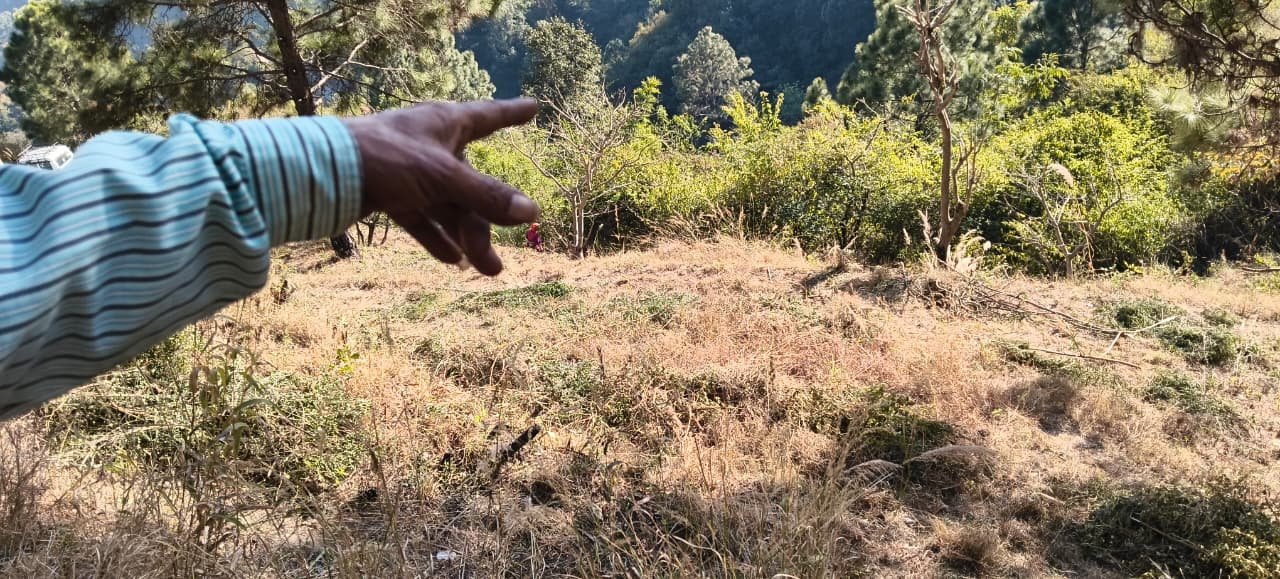 property in tehri 40 nali