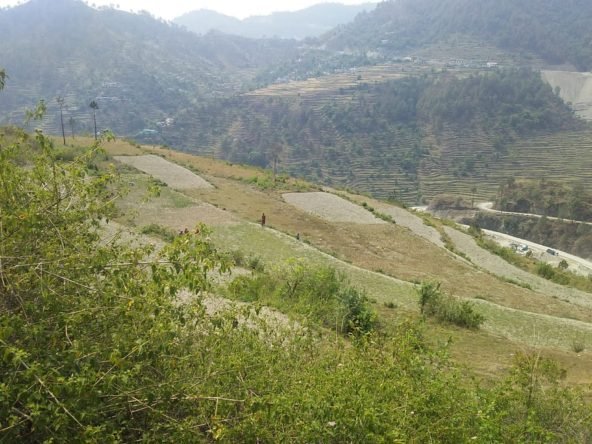 200 Nali Land for sale in Tehri
