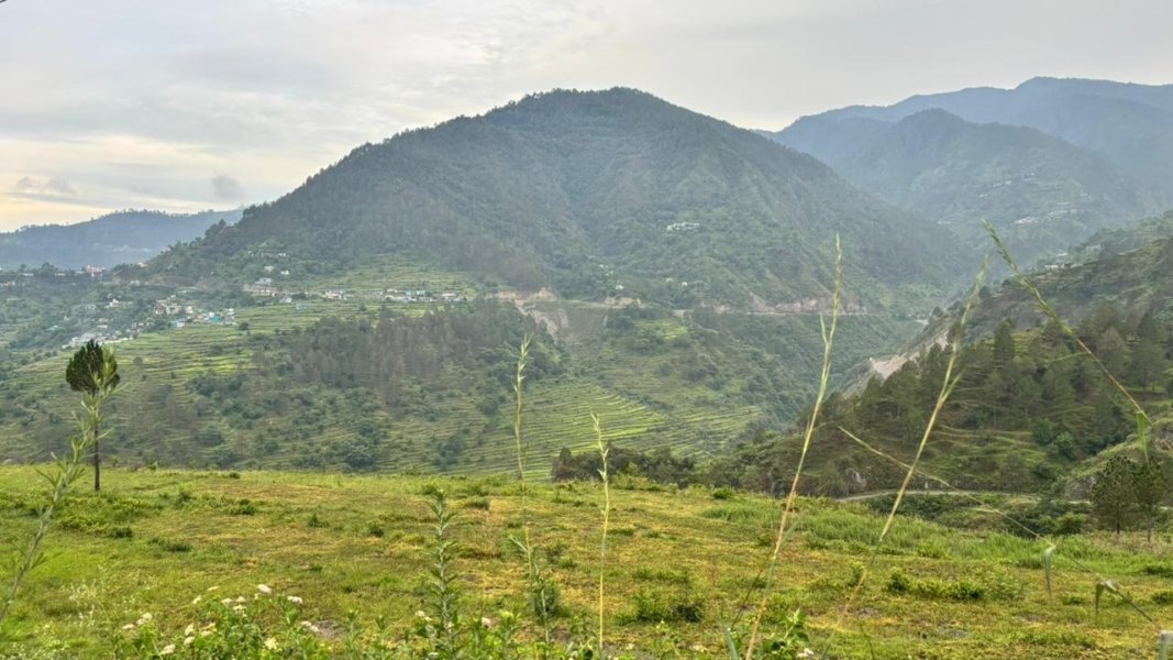 Property in Tehri
