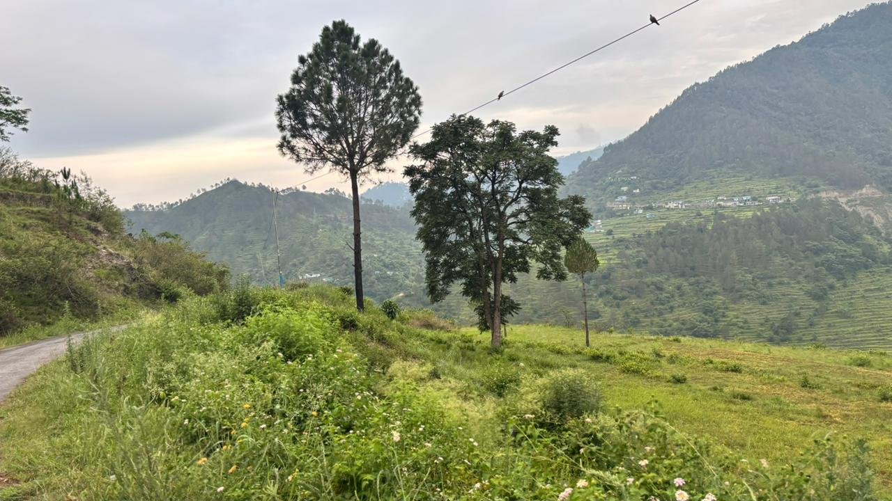Lands for sale