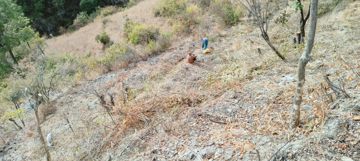 20 Nali Land for sale Tehri