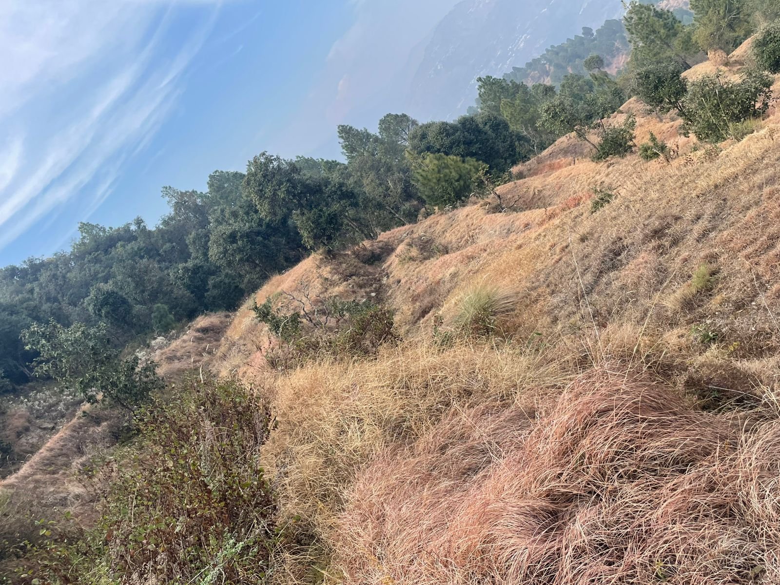 Himalayas properties in Tehri