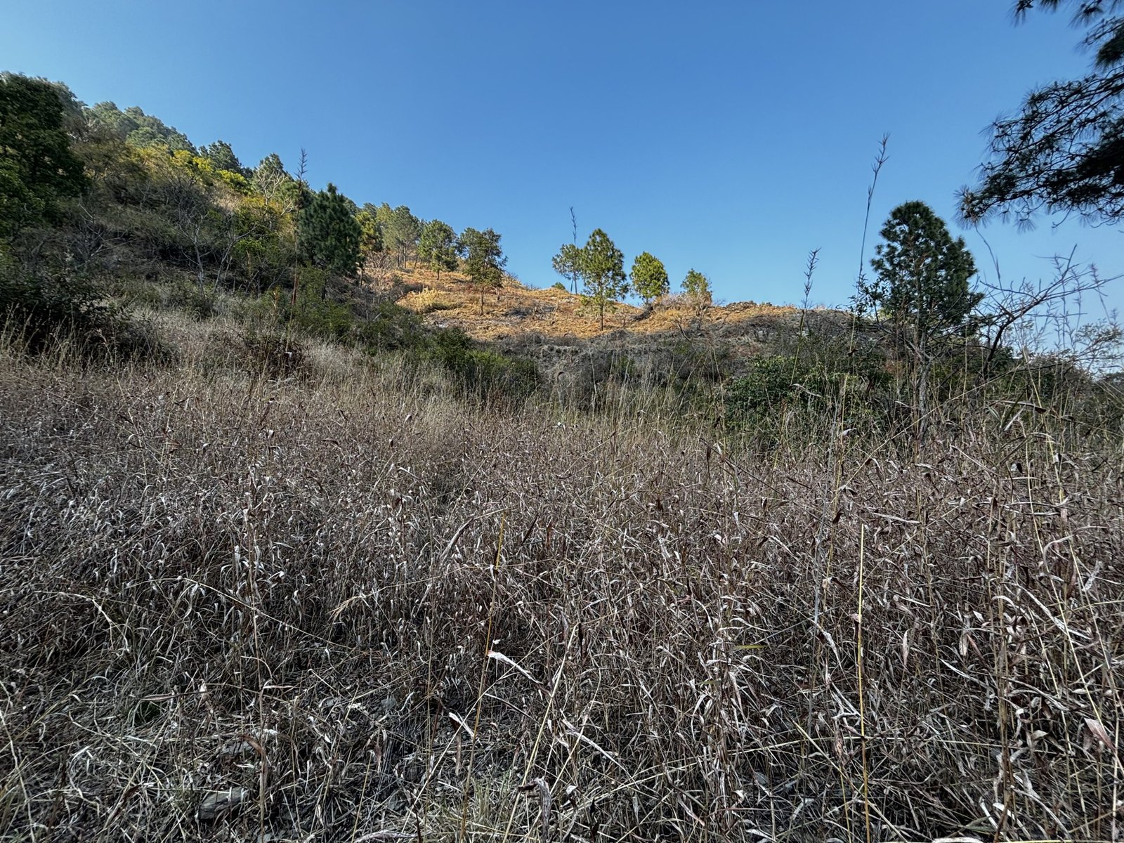 alley view land in Tehri Garhwal Uttarakhand