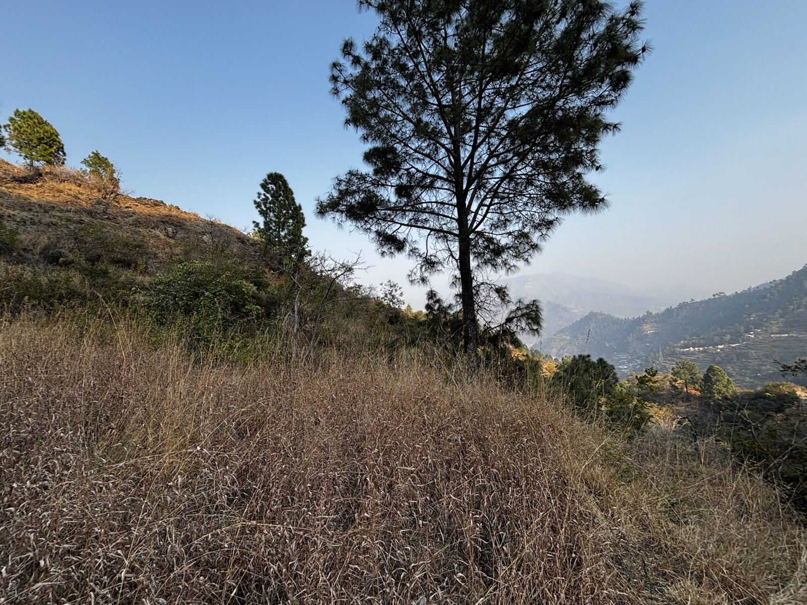property in Uttarkhashi Tehri
