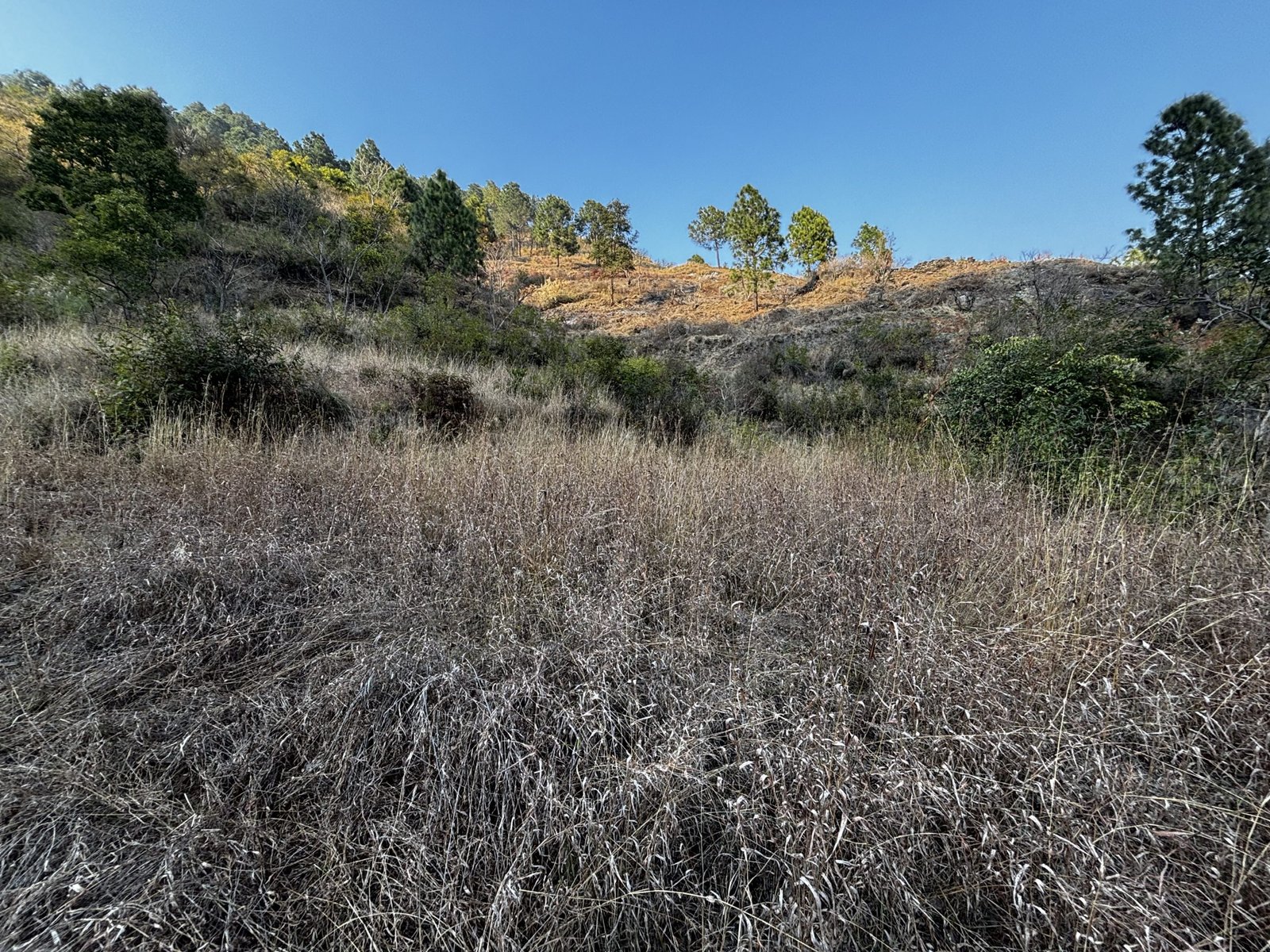 Farmhouse Land for sale