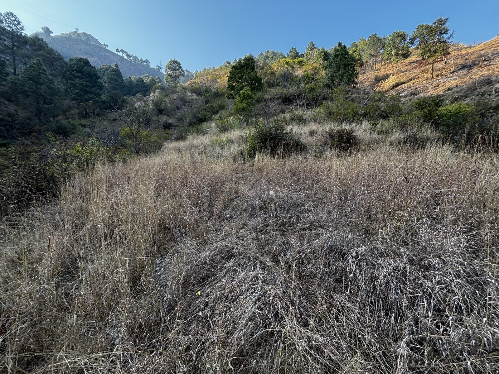 Road touch land for sale in Tehri Uttarakhand