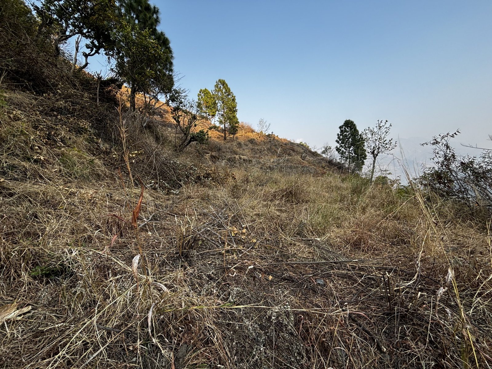 Properties in Uttarakhand for sale