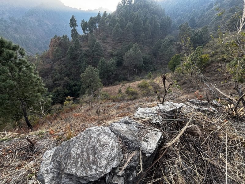 Agriculture Land for sale