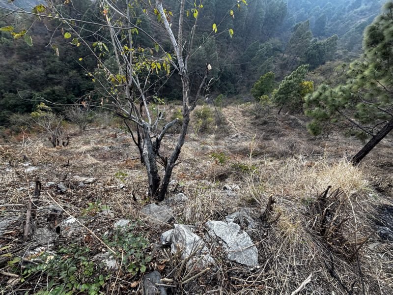 Lands for sale Uttarahand