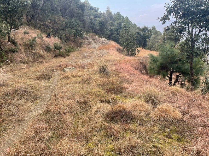 Land for sale in Kanatal