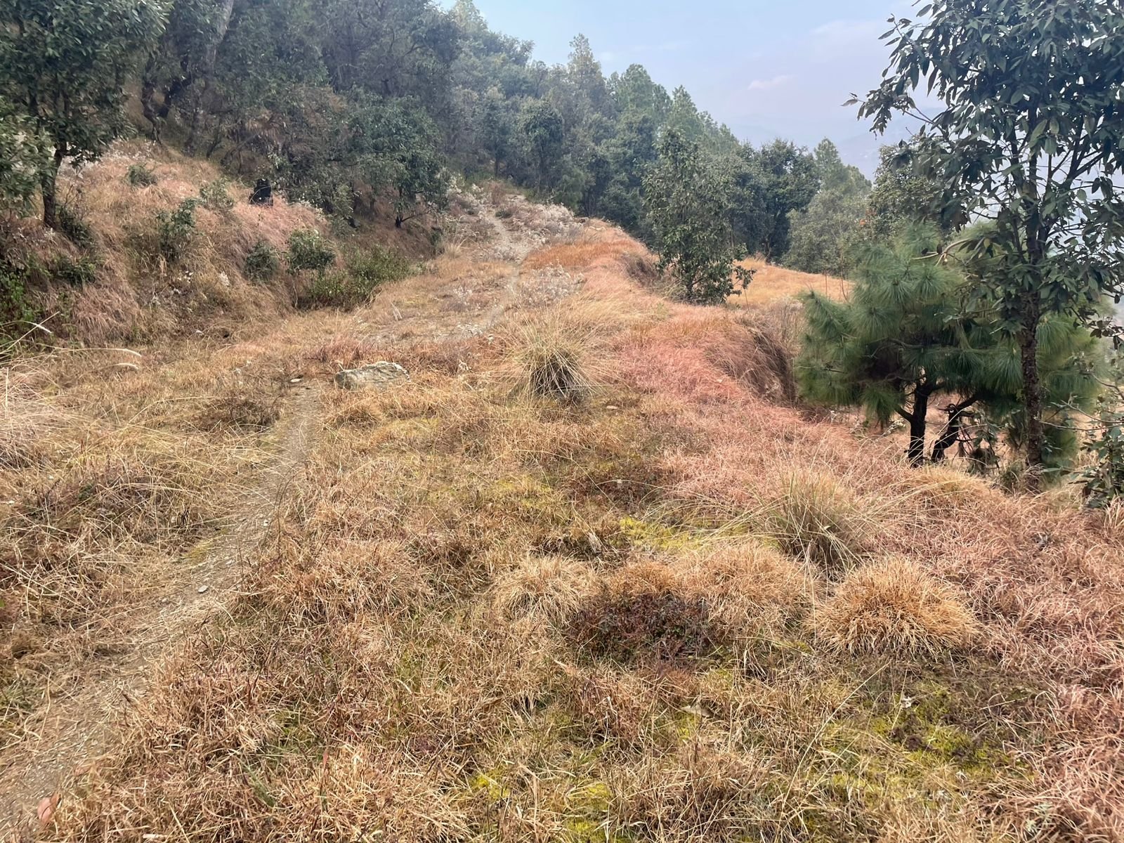 Land for sale in Kanatal