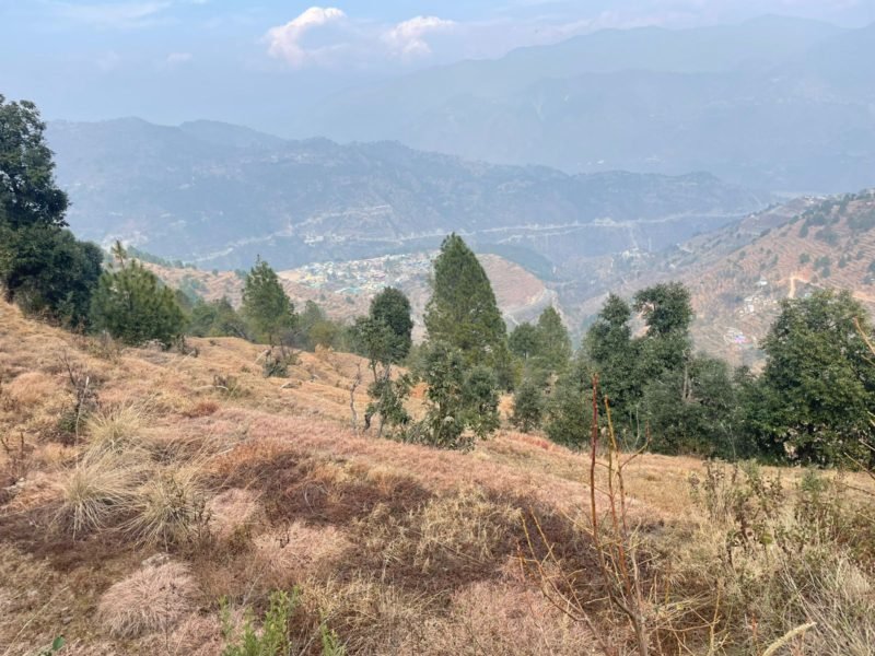 Property for sale in Dhanulti