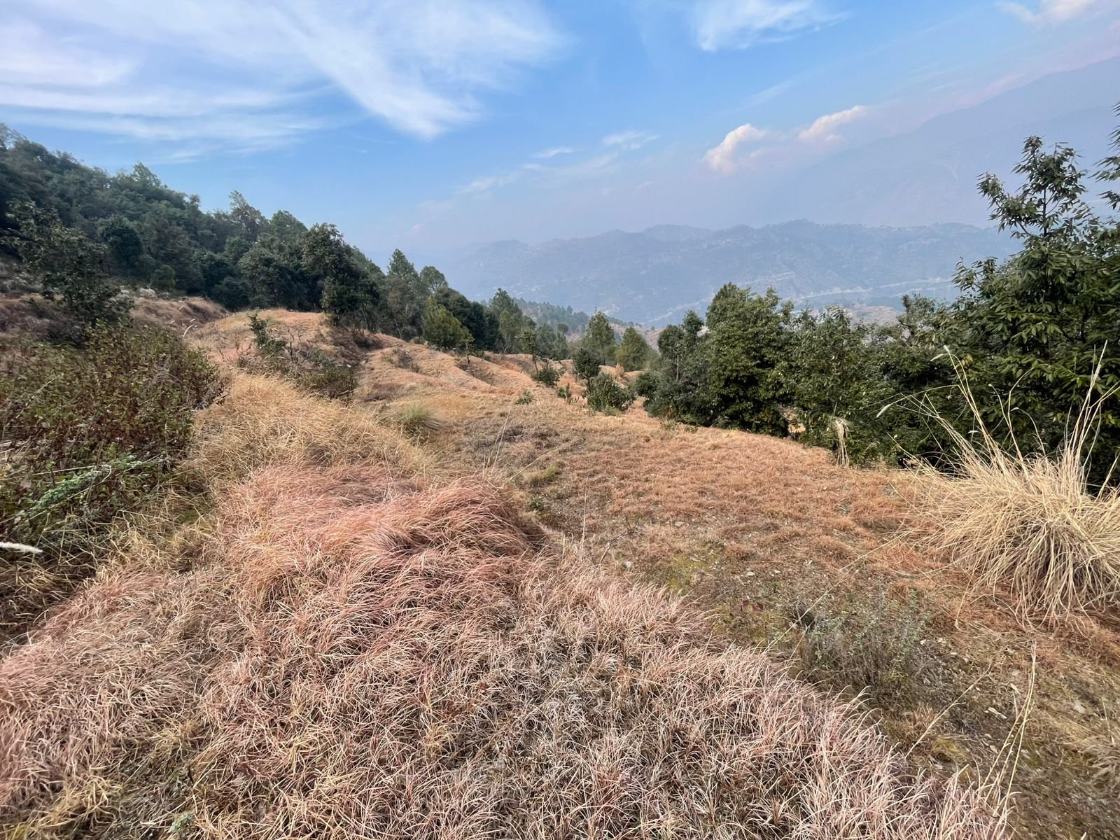 property for sale snow area