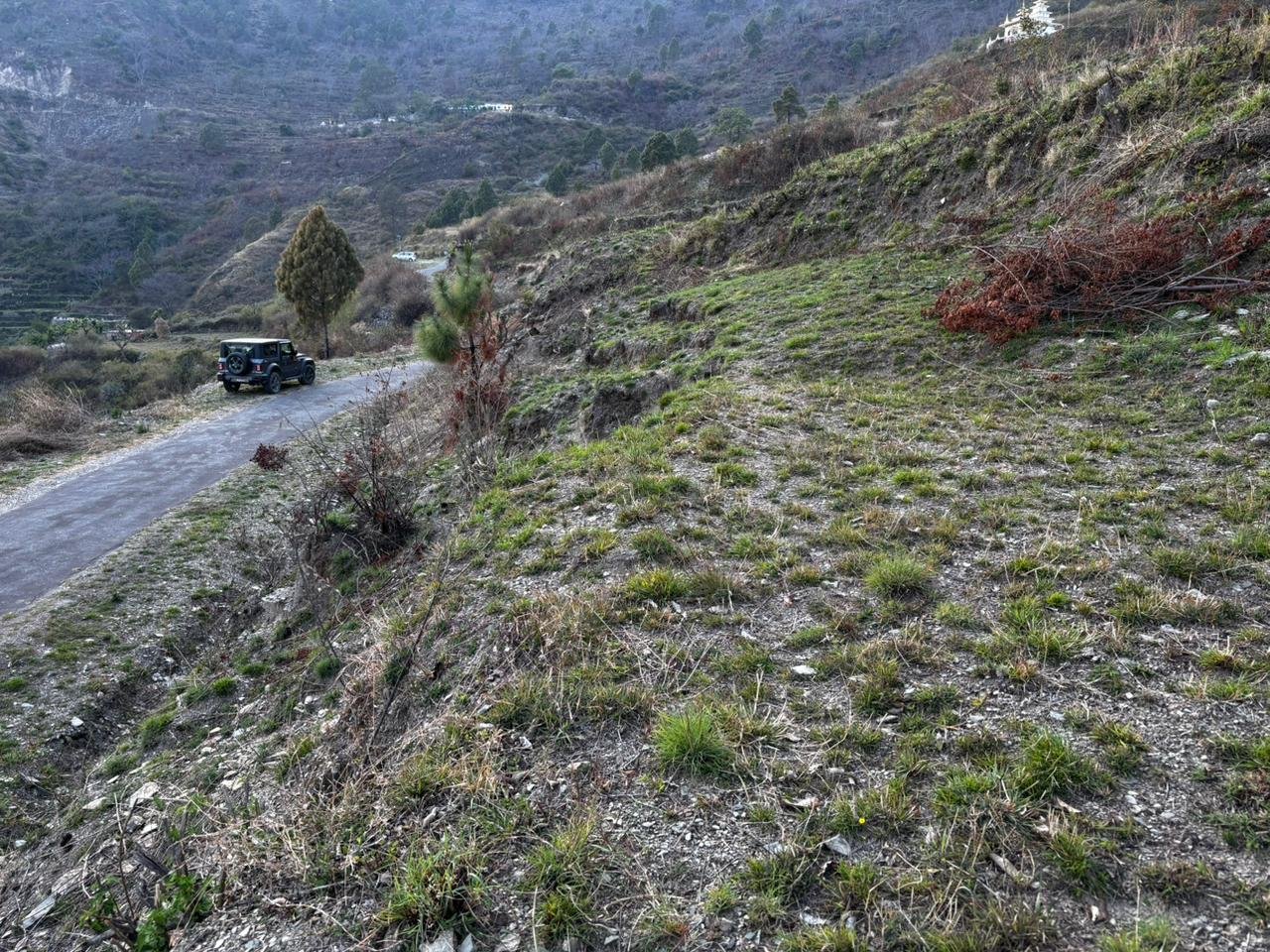 Tehri Properties upto 25 Nali